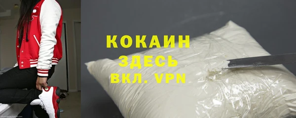 стаф Белокуриха