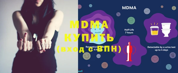 spice Богородск