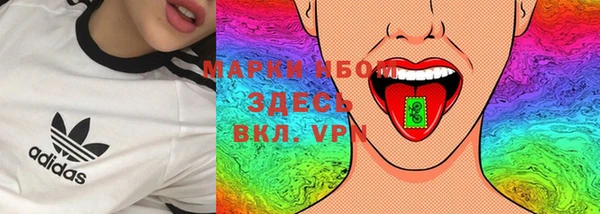 стаф Белокуриха
