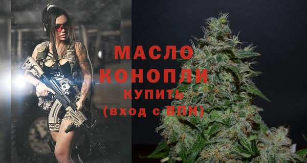 spice Богородск