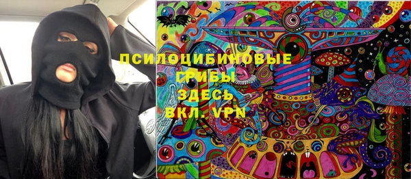 прущий лед Богородицк