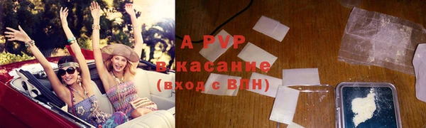 стаф Белокуриха